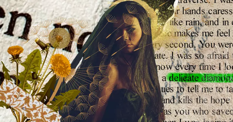 Dandelion flower meaning blog cover