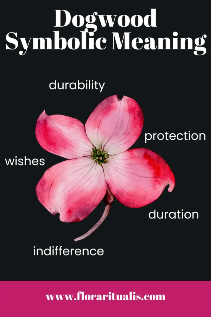 Dogwood flower symbolic meaning