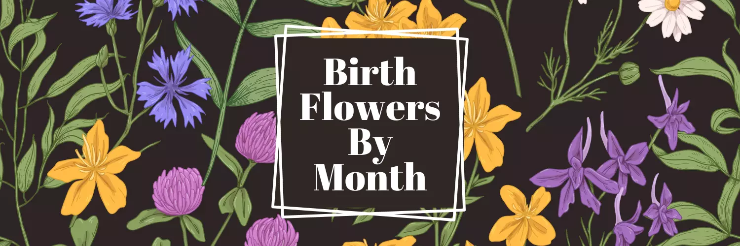 Birth Flower by Month