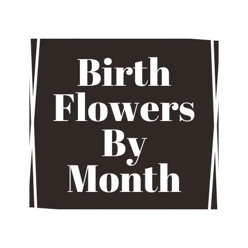 Birth Flowers By month