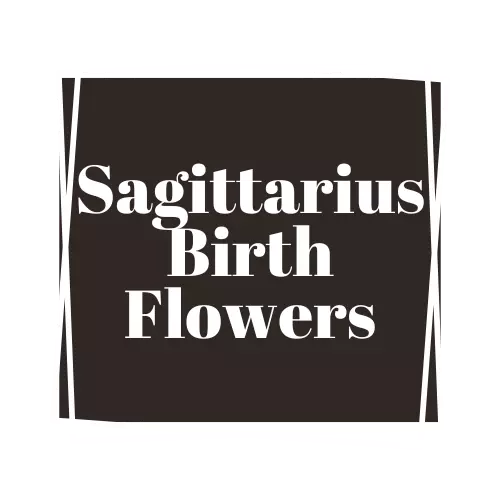 Sagittarius flower