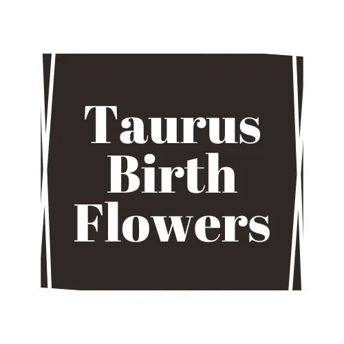 Taurus flower