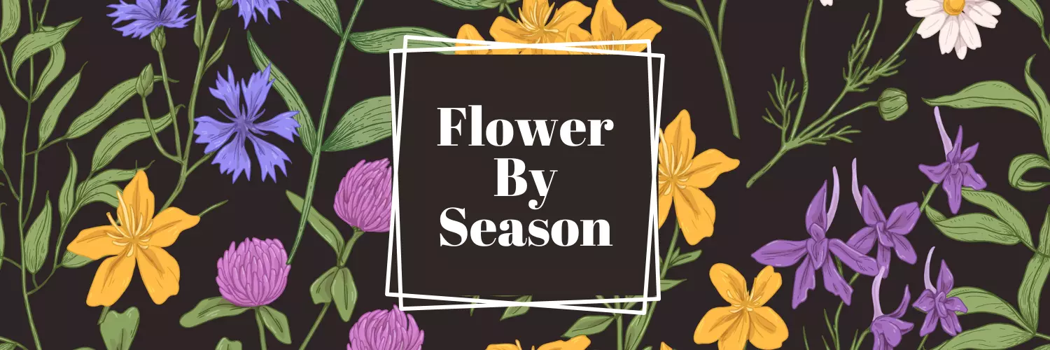 What Flowers Are In Season