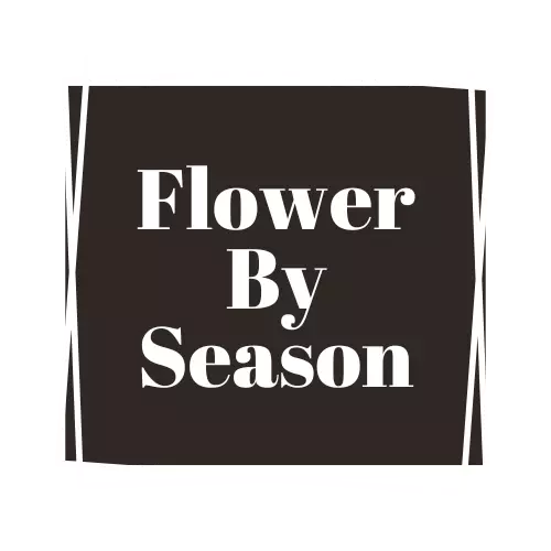 What Flowers Are In Season