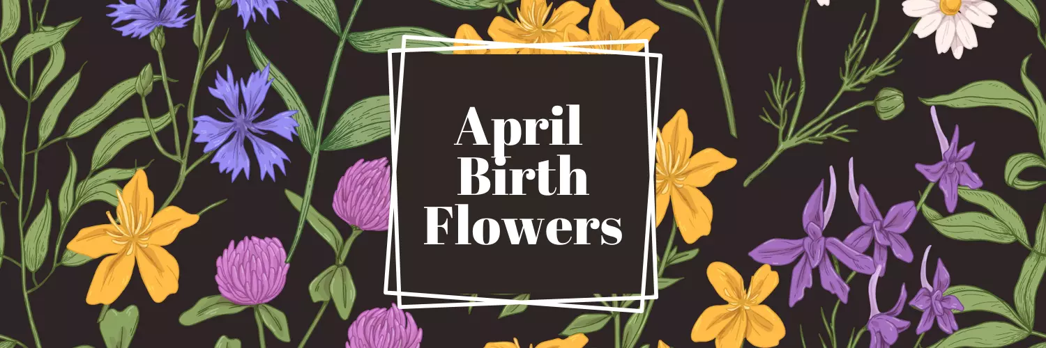 april birth flower
