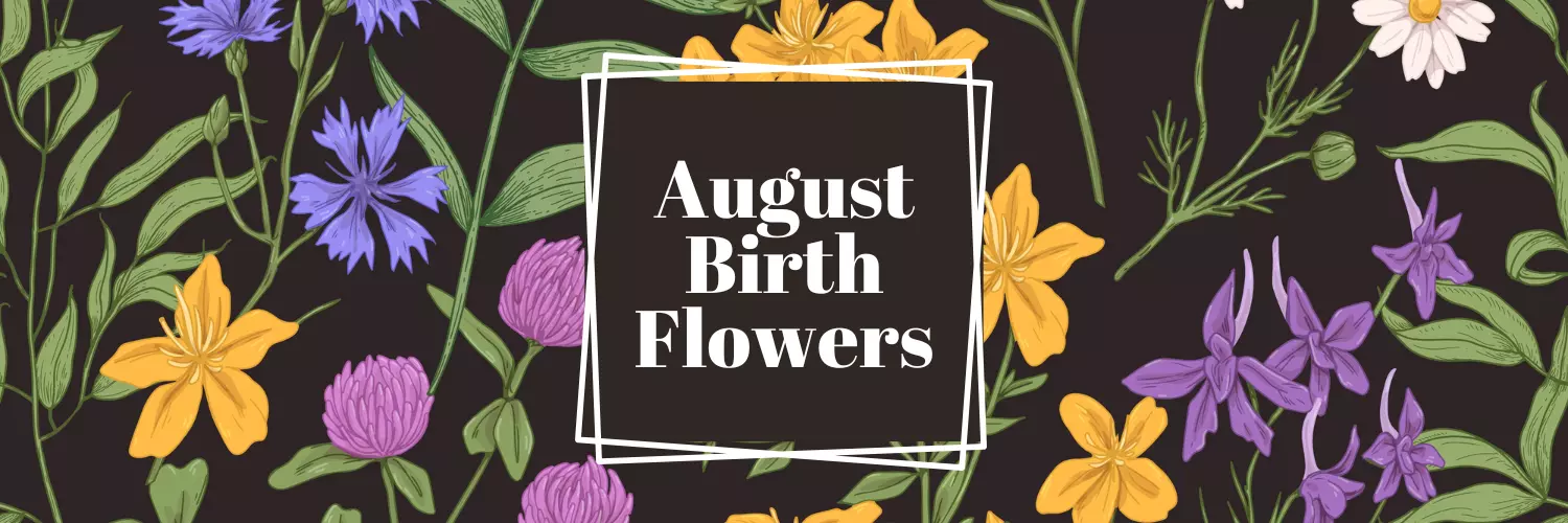 august birth flower