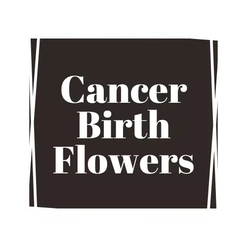cancer flower
