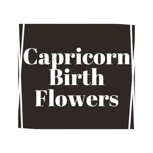 capricorn flower