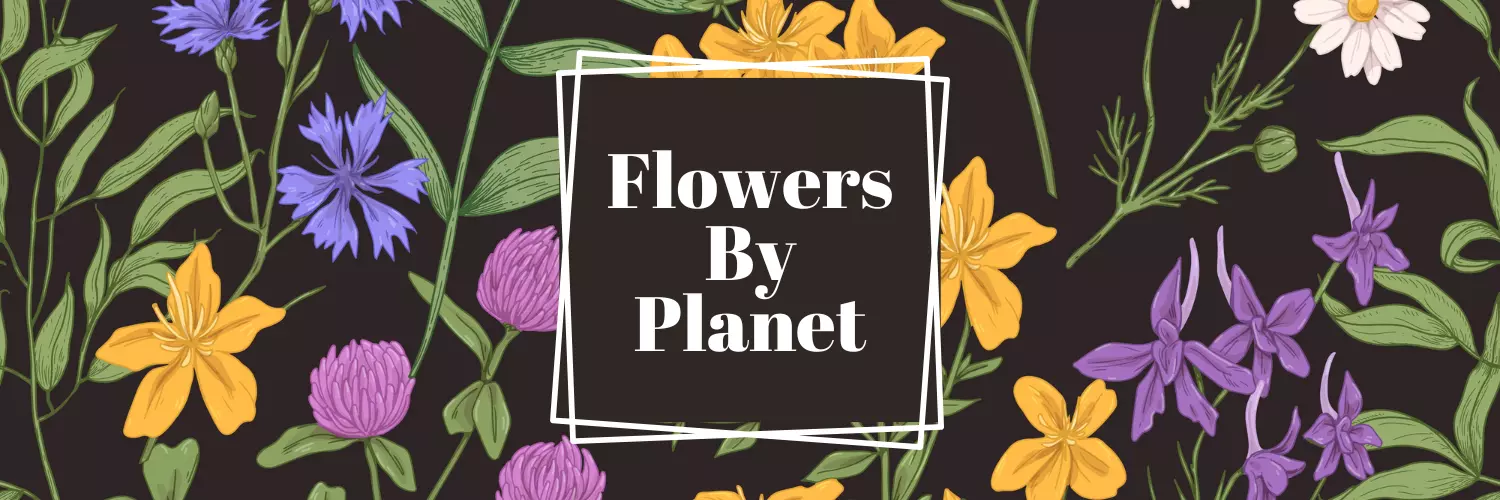 flower by planet