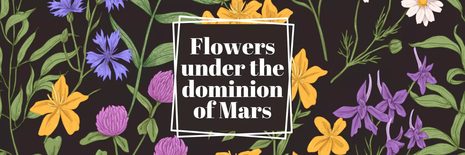 flower under the dominion of mars