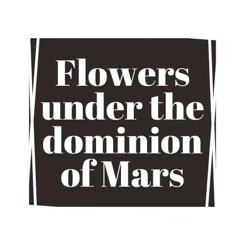 flowers under the dominion mars