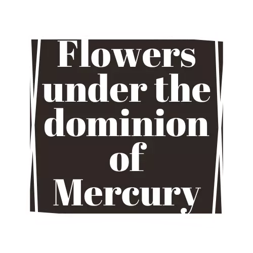 flowers under the dominion of mercury