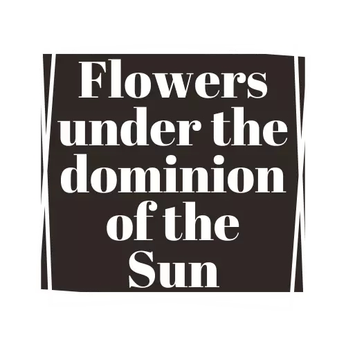 flowers under the dominion of the sun