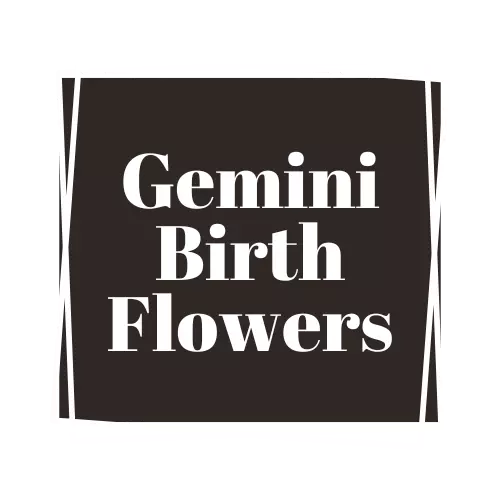 gemini flower