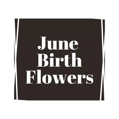 june birth flower