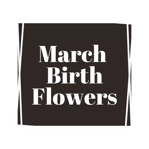 march birth flower