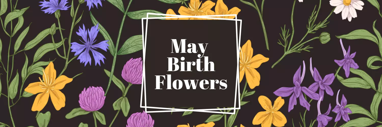 may birth flower
