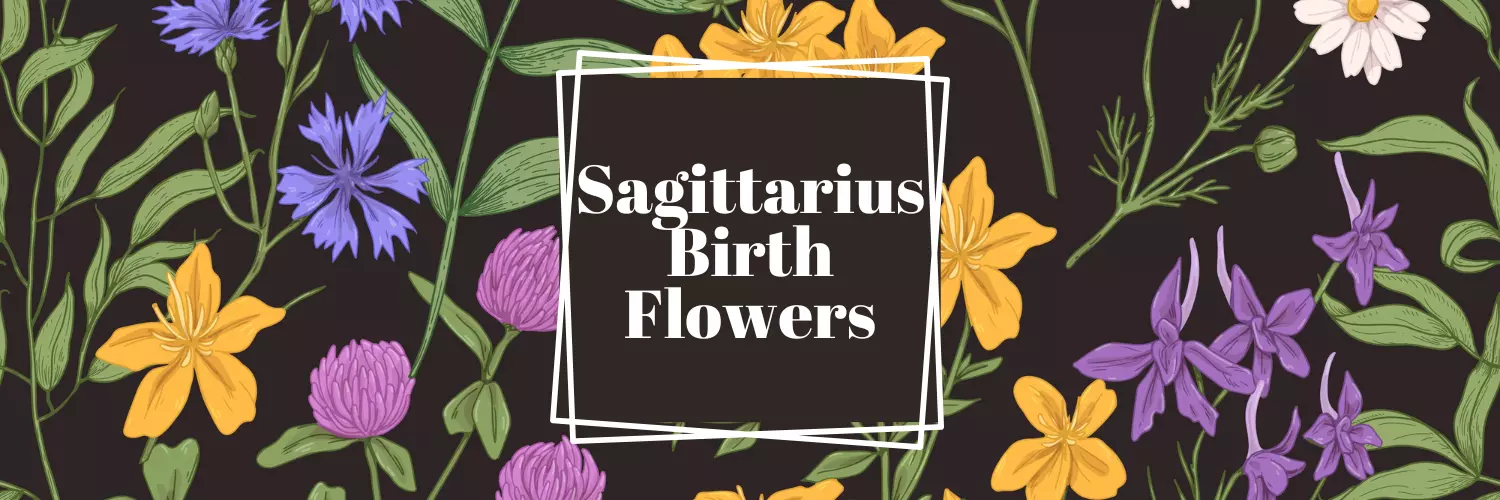 sagittarius flowers