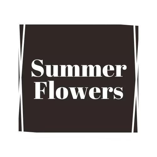 summer flowers