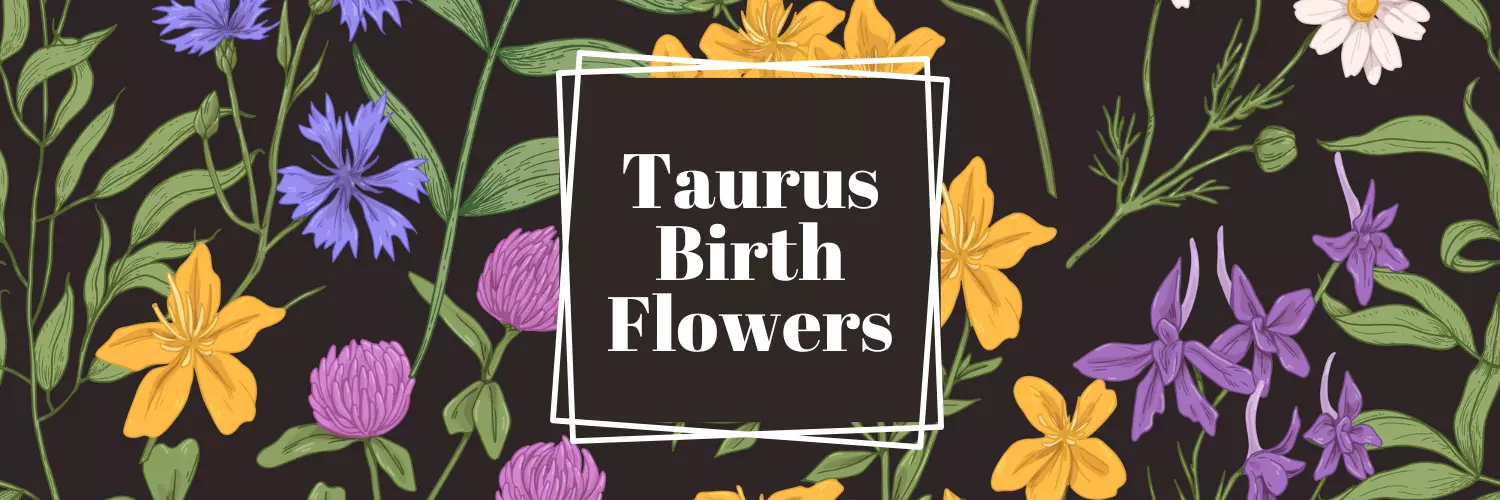 taurus flower