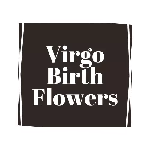 virgo flower