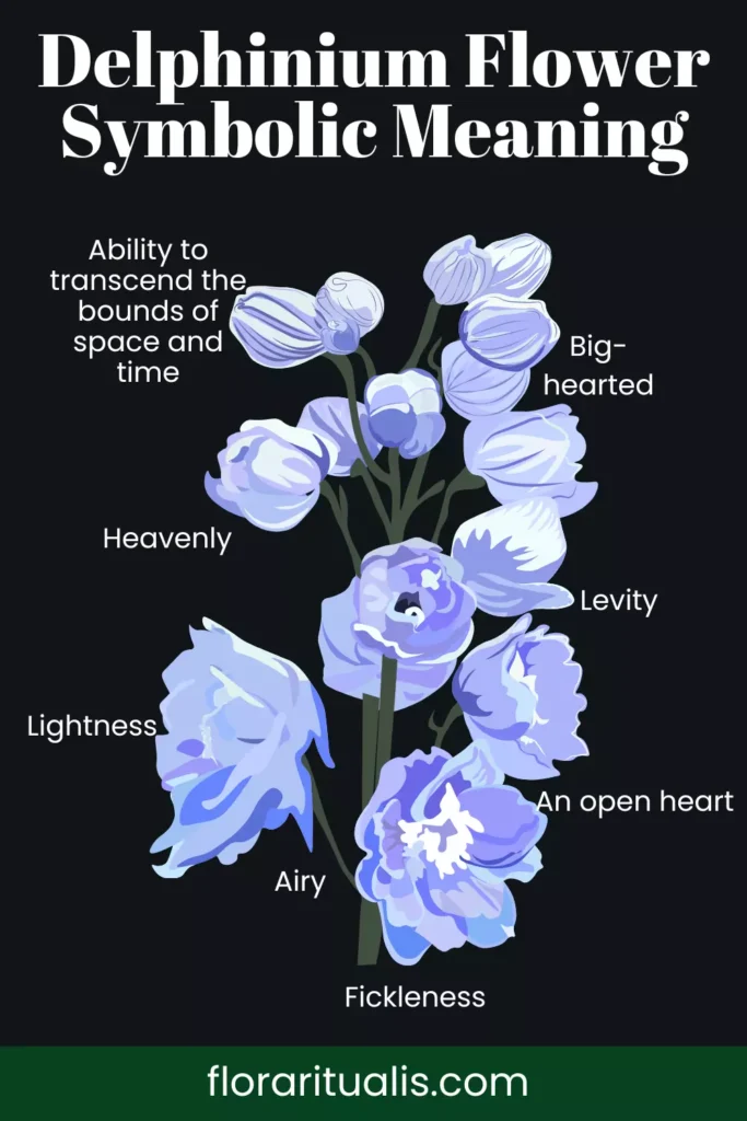 Delphinium flower symbolic meaning