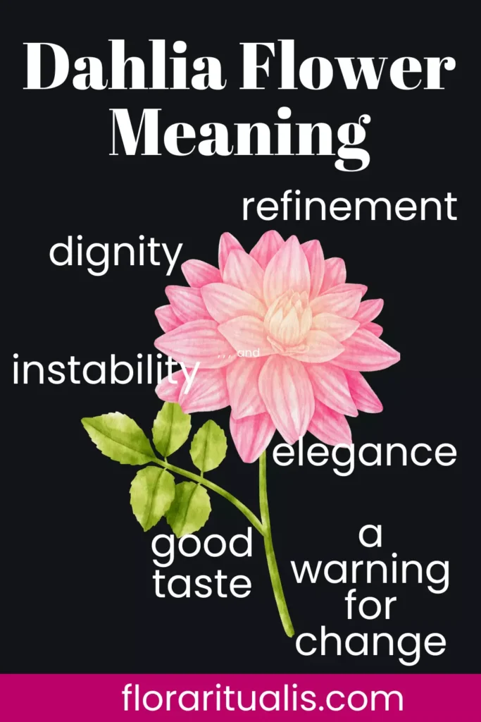 Dahlia flower meaning